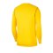 Nike Park 20 Training Sweatshirt Gelb F719 - gelb