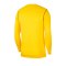 Nike Park 20 Sweatshirt Kids Gelb F719 - gelb