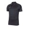 Nike Academy Pro Poloshirt Grau F067 - grau