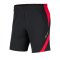 Nike Academy Pro Short Grau Rot F067 - schwarz