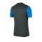 Nike Academy Pro T-Shirt Grau Blau F075 - grau
