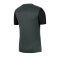 Nike Academy Pro T-Shirt Grau F073 - grau