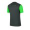 Nike Academy Pro T-Shirt Grau Grün F074 - grau