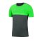Nike Academy Pro T-Shirt Grau Grün F074 - grau