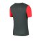 Nike Academy Pro T-Shirt Grau Rot F079 - grau