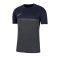 Nike Academy Pro T-Shirt Shirt Grau F076 - grau