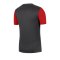 Nike Academy Pro T-Shirt Shirt Grau F078 - grau