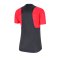 Nike Academy Pro Shirt kurzarm Damen F066 - grau