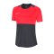 Nike Academy Pro Shirt kurzarm Damen F066 - grau