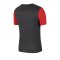 Nike Academy Pro Shirt kurzarm Kids F060 - grau