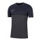 Nike Academy Pro Shirt kurzarm Kids F061 - grau