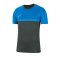 Nike Academy Pro Shirt kurzarm Kids F062 - grau
