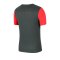 Nike Academy Pro Shirt kurzarm Kids F064 - grau
