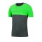 Nike Academy Pro Shirt kurzarm Kids F068 - grau