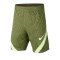 Nike Dri-FIT Strike Shorts Kids Grün F325 - gruen