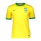 Nike Brasilien Copa America Trikot Home 2020 K F749 - gold