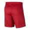 Nike AS Rom Short Home 2020/2021 F613 - rot
