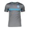Nike Slowakei ACD T-Shirt Grau Blau F067 - grau