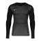 Nike Promo TW-Trikot langarm Schwarz Grau F021 - schwarz