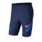 Nike Strike Vaporknit Short Blau F410 - blau
