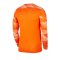 Nike Park IV TW-Trikot langarm Orange F819 - orange