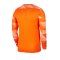 Nike Park IV TW-Trikot langarm Kids Orange F819 - orange