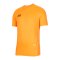 Nike Mercurial Strike T-Shirt Orange F803 - orange