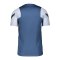 Nike Tottenham Hotspur Strike Trainingsshirt CL Blau F469 - blau
