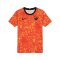 Nike AS Rom Dry Trainingsshirt CL Kids F819 - orange