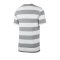 Nike Swoosh Stripe Tee T-Shirt Grau F073 - grau