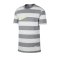 Nike Swoosh Stripe Tee T-Shirt Grau F073 - grau