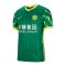 Nike FC Beijing Guoan Trikot Home 2020/2021 Grün F303 - gruen