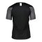 Nike Dry Academy T-Shirt Schwarz Grau F010 - schwarz