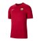 Nike FC Barcelona Strike T-Shirt Rot F621 - rot