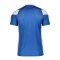 Nike Park Derby III Trikot Blau Weiss F463 - blau
