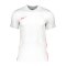Nike Dry NE GX1 T-Shirt Kids Weiss Grau F102 - weiss