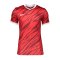 Nike Dry NE GX2 T-Shirt Rot F657 - rot
