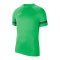Nike Academy 21 T-Shirt Grün Weiss F362 - gruen