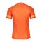 Nike Academy 21 T-Shirt Orange F869 - orange