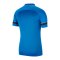 Nike Academy 21 Poloshirt Blau Weiss F463 - blau