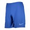 Nike Academy 21 Short Blau Weiss F480 - blau