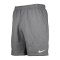 Nike Park 20 Fleece Short Grau Weiss F071 - grau