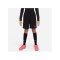Nike Park 20 Fleece Short Kids Schwarz Weiss F010 - schwarz