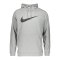 Nike Dri-FIT Swoosh Hoody Grau Schwarz F010 - grau