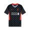 Nike FC Liverpool Trikot UCL 2020/2021 Kids Grau F060 - grau