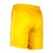Nike Park Torwart Short Gelb F739 - gelb