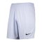 Nike Park Torwart Short Grau Schwarz F057 - grau