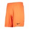 Nike Park Torwart Short Orange F819 - orange