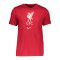 Nike FC Liverpool Evergreen Crest T-Shirt Rot F687 - rot