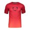 Nike Academy T-Shirt Rot F687 - rot